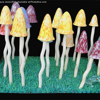 Buy canvas prints of Toadstool and Frog garden ornaments. by Laura Jarvis