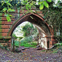 Buy canvas prints of Himley Park Archway by Andrew Poynton