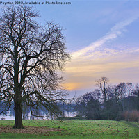 Buy canvas prints of Himley Park by Andrew Poynton