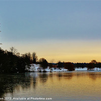 Buy canvas prints of Himley Park Lake by Andrew Poynton