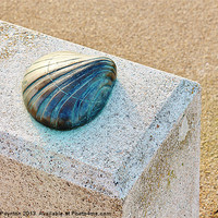 Buy canvas prints of Metal Shell by Andrew Poynton
