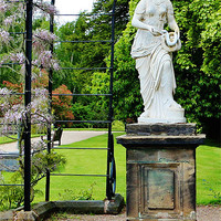 Buy canvas prints of Lady of Trentham by Andrew Poynton