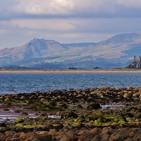 Buy canvas prints of A View from Shell Island by Andrew Poynton