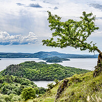 Buy canvas prints of Conic Hill View by Valerie Paterson
