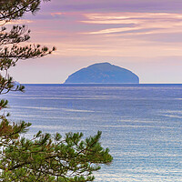 Buy canvas prints of Pink Sky Around Ailsa Craig by Valerie Paterson