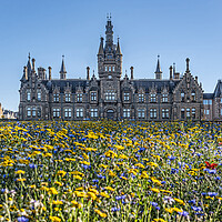 Buy canvas prints of Flower Meadow Dundee by Valerie Paterson