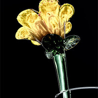 Buy canvas prints of Glass Flower by Valerie Paterson