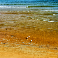Buy canvas prints of Golden Sands Of Aberdeen by Valerie Paterson