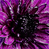 Buy canvas prints of Purple Carintian by Valerie Paterson