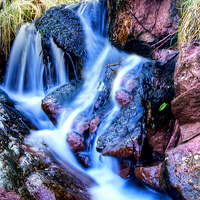 Buy canvas prints of Millport Stream by Valerie Paterson