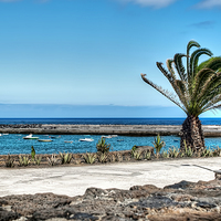 Buy canvas prints of Costa Teguise Harbour by Valerie Paterson