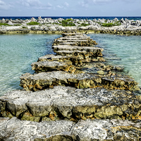 Buy canvas prints of Steps to Sea by Valerie Paterson