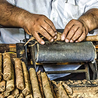 Buy canvas prints of Working Hands  by Valerie Paterson