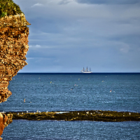 Buy canvas prints of Cliff Edge by Valerie Paterson