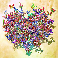 Buy canvas prints of Butterfly Heart by Valerie Paterson