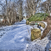 Buy canvas prints of Snowy Path by Valerie Paterson