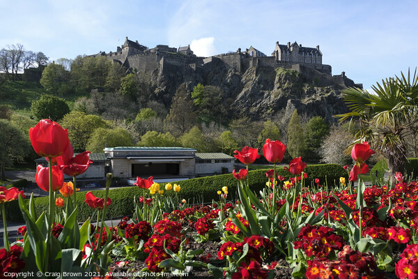 Edinburgh Castle Spring Picture Board by Craig Brown