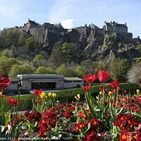 Buy canvas prints of Edinburgh Castle Spring by Craig Brown
