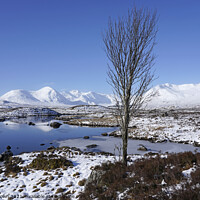 Buy canvas prints of Rannoch Moor Snow by Craig Brown