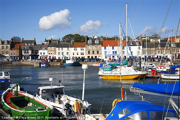 Anstruther harbour Scotland Picture Board by Craig Brown