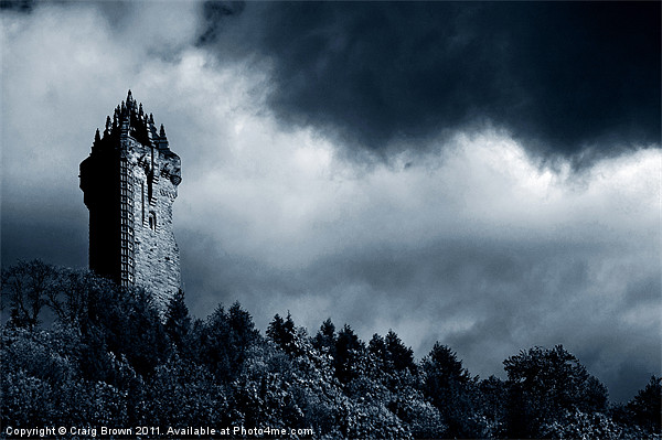 Wallace Monument, Scotland Picture Board by Craig Brown