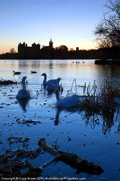 Linlithgow Palace sunrise Picture Board by Craig Brown