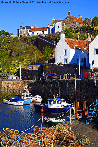 Crail Harbour, Fife Scotland Picture Board by Craig Brown