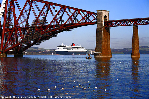 Queen Mary2 at Forth Bridge Picture Board by Craig Brown