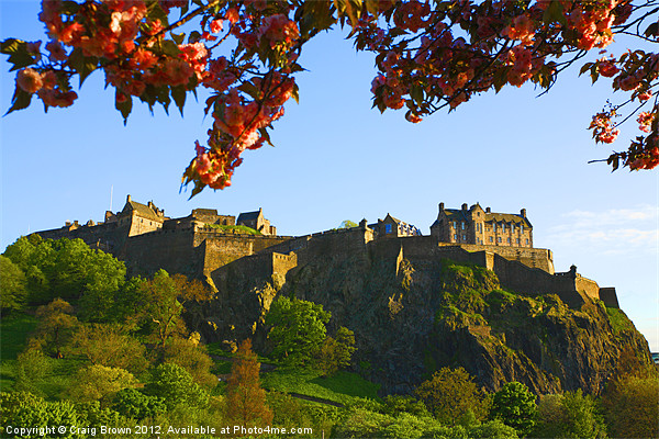 Edinburgh Castle Picture Board by Craig Brown