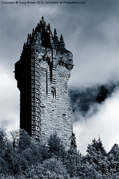 Wallace Monument, Scotland Picture Board by Craig Brown