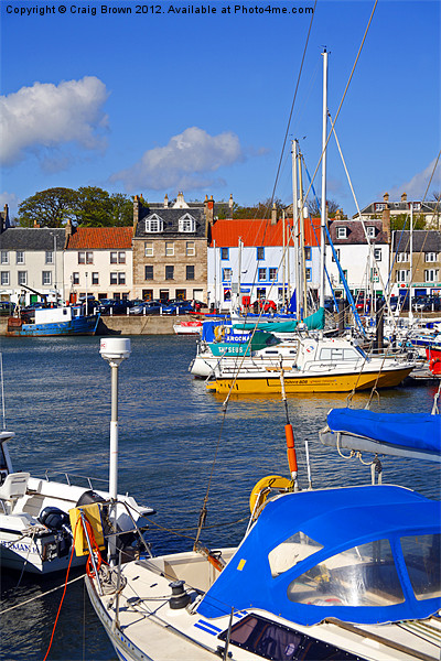 Anstruther Harbour, Scotland Picture Board by Craig Brown