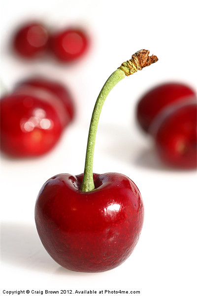Red Cherries Picture Board by Craig Brown