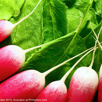 Buy canvas prints of Radishes by Craig Brown