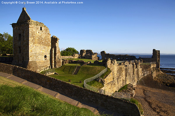 St Andrews Castle, Scotland Picture Board by Craig Brown
