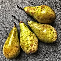 Buy canvas prints of Ripe Pears Still life by Craig Brown