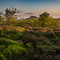Buy canvas prints of Sunrise on Roseberry Topping by Gary Eason