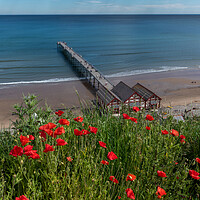Buy canvas prints of Poppies above Saltburn pier by Gary Eason