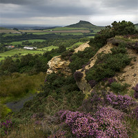 Buy canvas prints of Roseberry Topping and Heather, Cleveland Hills by Gary Eason