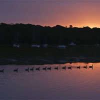 Buy canvas prints of Geese at dawn by Gary Eason