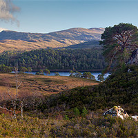Buy canvas prints of Glen Affric panorama II by Gary Eason