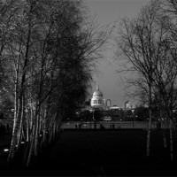Buy canvas prints of St Paul's with silver birches by Gary Eason