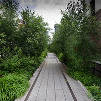 Buy canvas prints of High Line NYC by Gary Eason