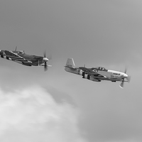 Buy canvas prints of Spitfire and Mustang black and white version by Gary Eason