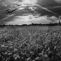 Buy canvas prints of The final sortie, black and white version by Gary Eason