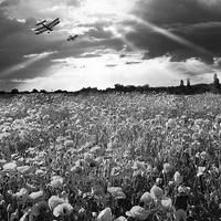 Buy canvas prints of The final sortie WWI black and white version by Gary Eason