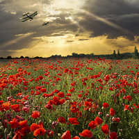 Buy canvas prints of The final sortie WWI version by Gary Eason