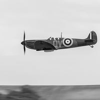 Buy canvas prints of Spitfire low-level flying black and white version by Gary Eason