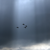 Buy canvas prints of Sunlit Supermarine Spitfires by Gary Eason
