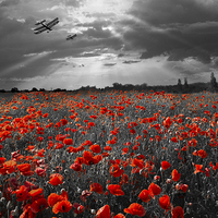 Buy canvas prints of The final sortie WWI version selective colour vers by Gary Eason