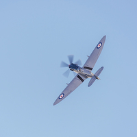 Buy canvas prints of Silver Spitfire by Gary Eason